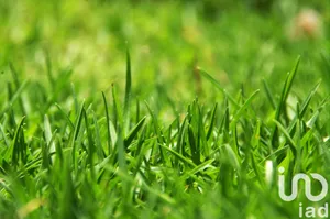 Terrain à bâtir à Saint-Magne-de-Castillon (33350)