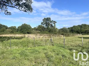 Maison à Saint-Lyphard (44410)