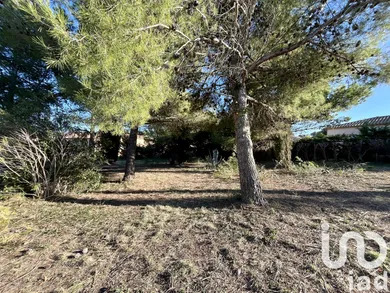 Building plot at Roquefort-des-Corbières (11540)