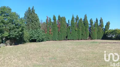 Land at Labastide-d'Anjou (11320)