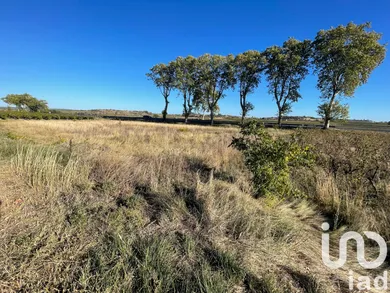 Terrain agricole  à Tourbes (34120)