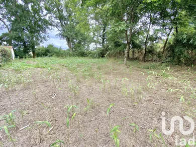 Land at Linxe (40260)