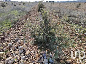 Land at Sainte Cécile les Vignes (84290)