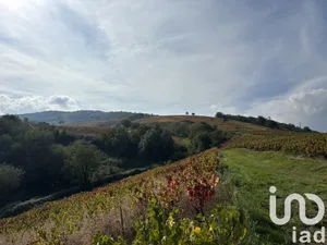 Maison à Quincié-en-Beaujolais (69430)