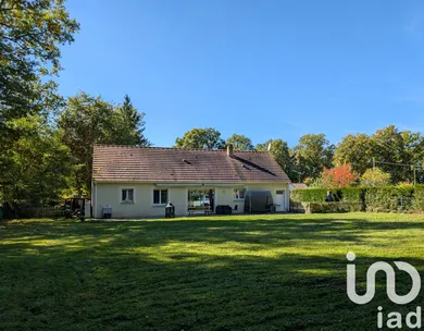 Traditional house at La Selle-en-Hermoy (45210)