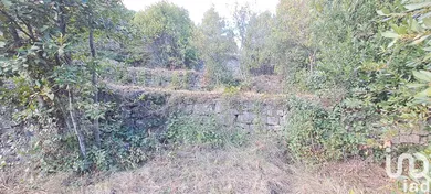 Terrain à Lodève (34700)