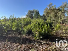 Terrain à La Brède (33650)