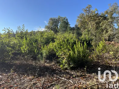 Terrain à La Brède (33650)