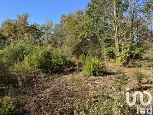 Terrain à La Brède (33650)