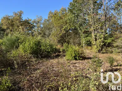 Terrain à La Brède (33650)