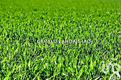 Terrain à Montgiscard (31450)