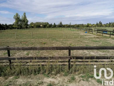 Haras à Beaucaire (30300)