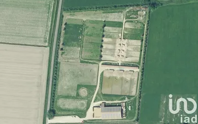 Haras à Beaucaire (30300)