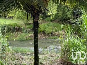 Cottage at GOYAVE  (97128)