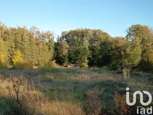 Land at Saint Pierre de Maillé (86260)