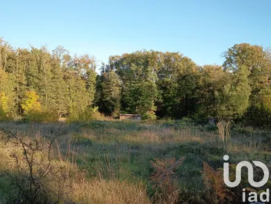 Terrain à Saint Pierre de Maillé (86260)