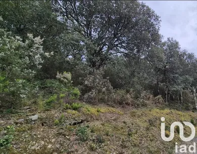 Terrain à Prunet-et-Belpuig (66130)