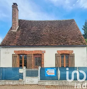 Maison à Saint-Hilaire-les-Andrésis (45320)