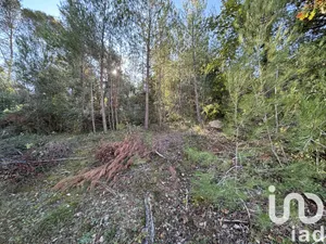 Land at Flassans-sur-Issole (83340)