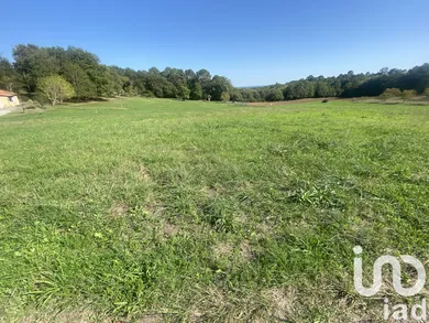 Terrain à Domme (24250)