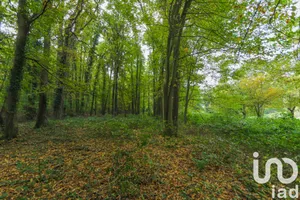 Land at Viarmes (95270)