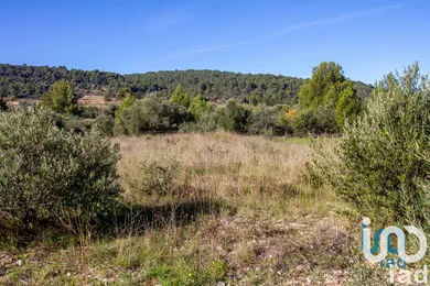 Terrain à Mailhac (11120)