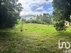 Terrain à bâtir à Saint-Pierre (97410)