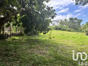 Building plot in Saint-Pierre (97410)