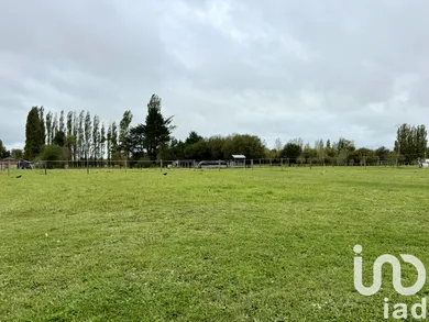 Terrain à TOURNEVILLE-SUR-MER (50660)