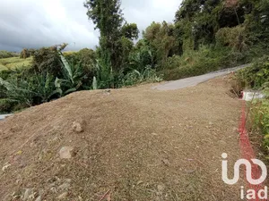 Building plot at SAINT PIERRE (97410)