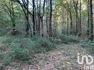 Leisure land at Les Lucs-sur-Boulogne (85170)