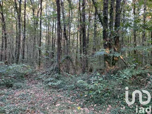 Leisure land at Les Lucs-sur-Boulogne (85170)