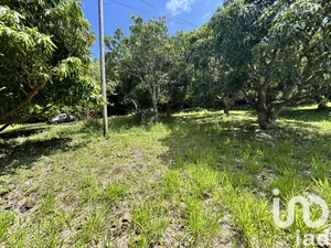 Terrain à bâtir à Saint-Pierre (97410)