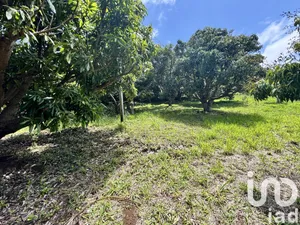 Terrain à bâtir à Saint-Pierre (97410)