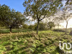Leisure land at Saint-Hilaire-de-Voust (85120)