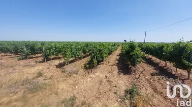 Land at Générac (30510)