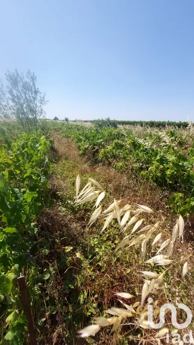 Terrain agricole  à Générac (30510)