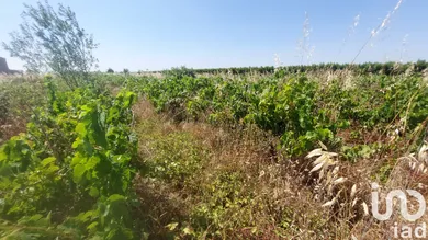 Farm land in Générac (30510)