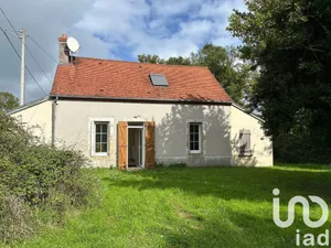 House at Maisonnais (18170)