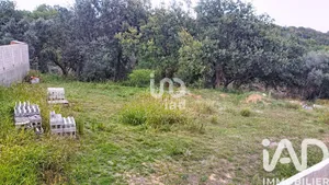 Building plot in Tresserre (66300)
