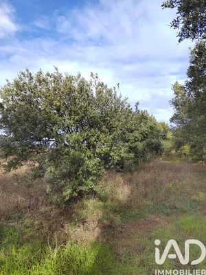 Terrain à Cairanne (84290)
