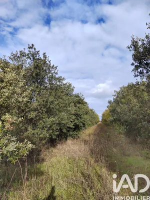 Land in Cairanne (84290)