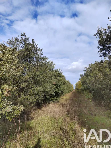 Terrain à Cairanne (84290)