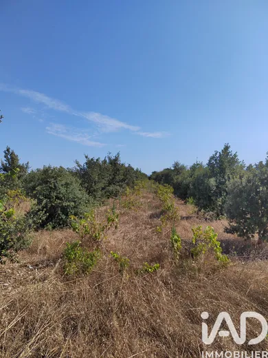 Land in Sainte Cécile les Vignes (84290)