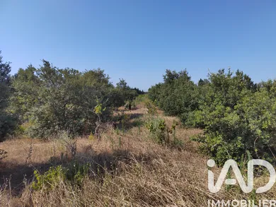 Land in Sainte Cécile les Vignes (84290)