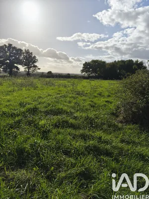 Terrain à bâtir à Ceaulmont (36200)