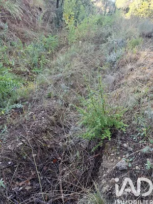 Terrain à Colomars (06670)