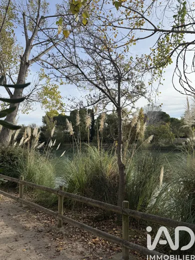House in Saint-Martin-de-Crau (13310)