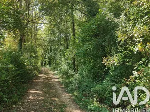 Terrain à Limeuil (24510)