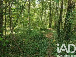 Land in Limeuil (24510)